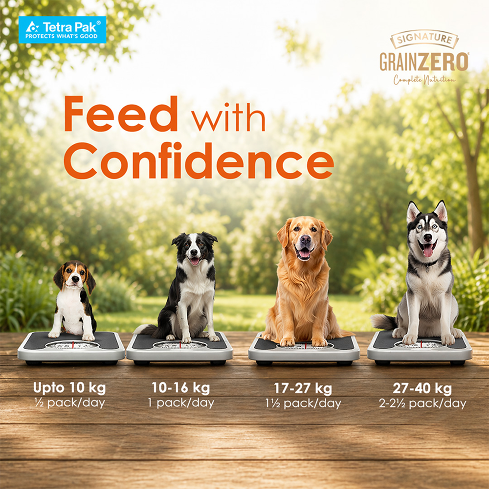 Signature Grain Zero Tetra Pack Real Chicken Egg & Pumpkin Dog Fresh Food image 9