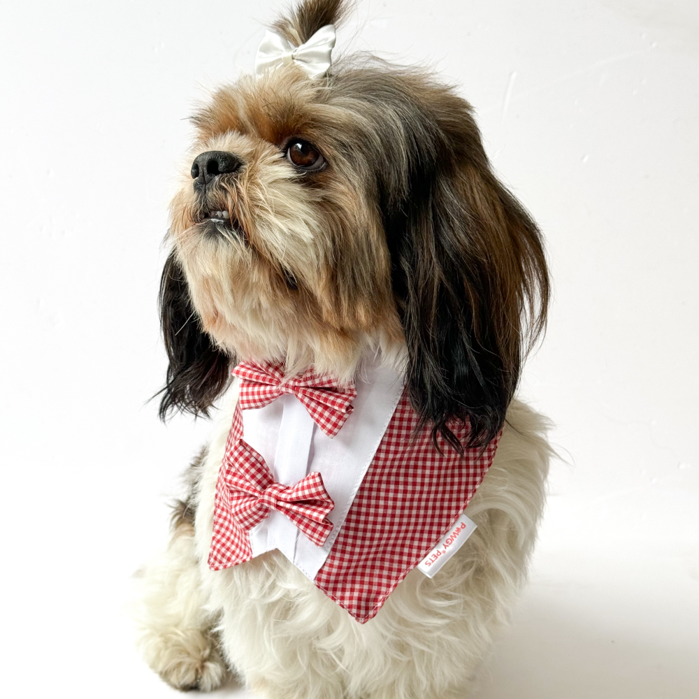 Pawgypets Casual Check Bandana for Dogs and Cats (Red) image 2