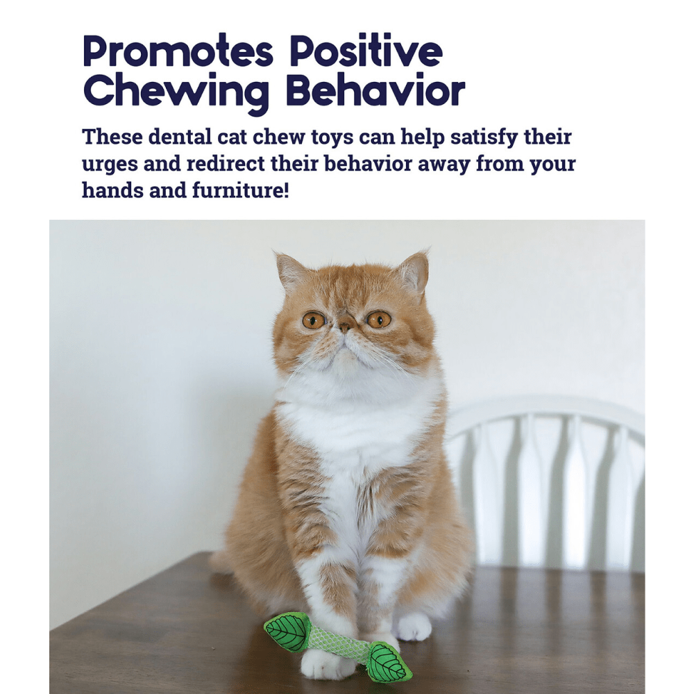 Outward Hound Fresh Breath Mint Stick for Cats image 3
