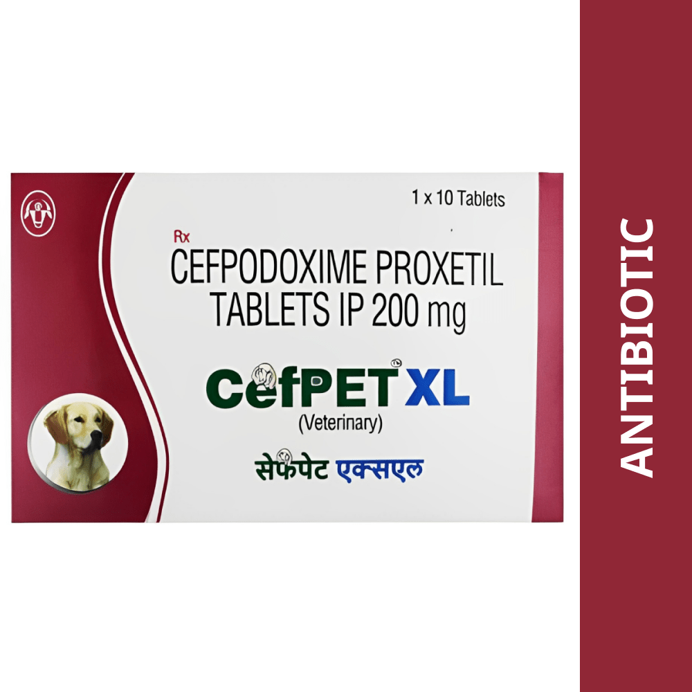 Intas Cefpet XL 200mg (Cefpodoxime Proxetil) Tablet image 2