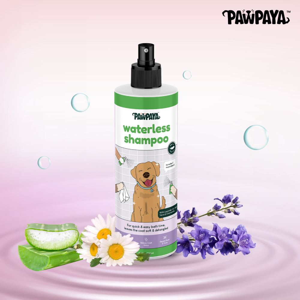 Pawpaya Waterless Shampoo for Dogs image 2