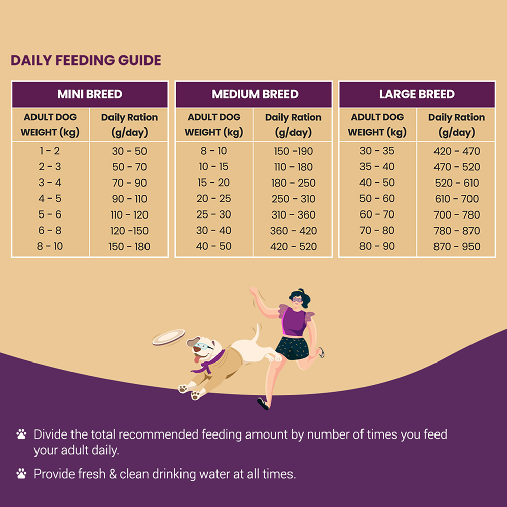 Bowlers Nutrimax Club Adult Dog Dry Food image 6