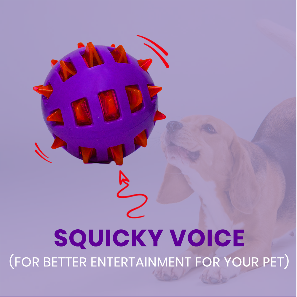 Basil Squeaky Rubber Ball Toy for Dogs image 3