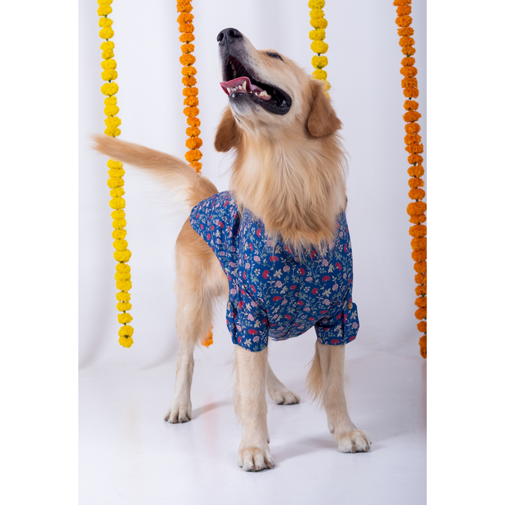 15 Furries Bageecha Kurta for Dogs image 2