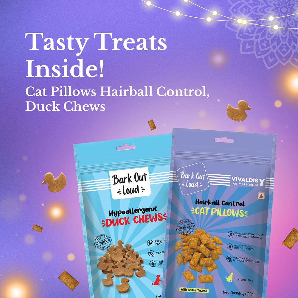 Bark Out Loud Festive Gift Box for Cats image 3