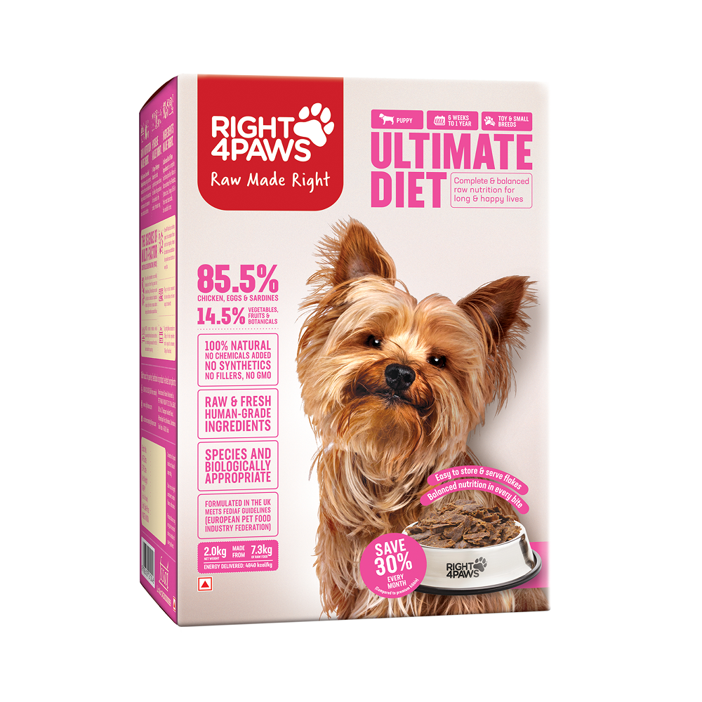 Right4Paws Ultimate Diet Toy & Small Puppy Dog Dry Food