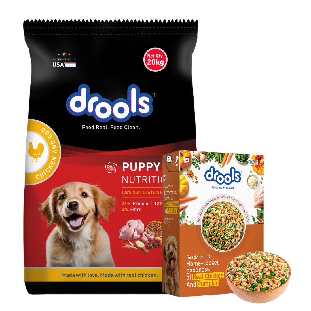 Drools Chicken and Egg Puppy Dog Dry Food