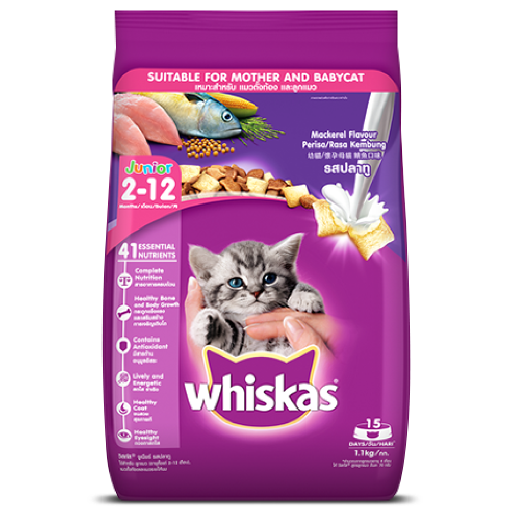 Whiskas Ocean Fish and  Mackerel Flavour Kitten Cat (2 to 12 months) Dry Food Combo image 7