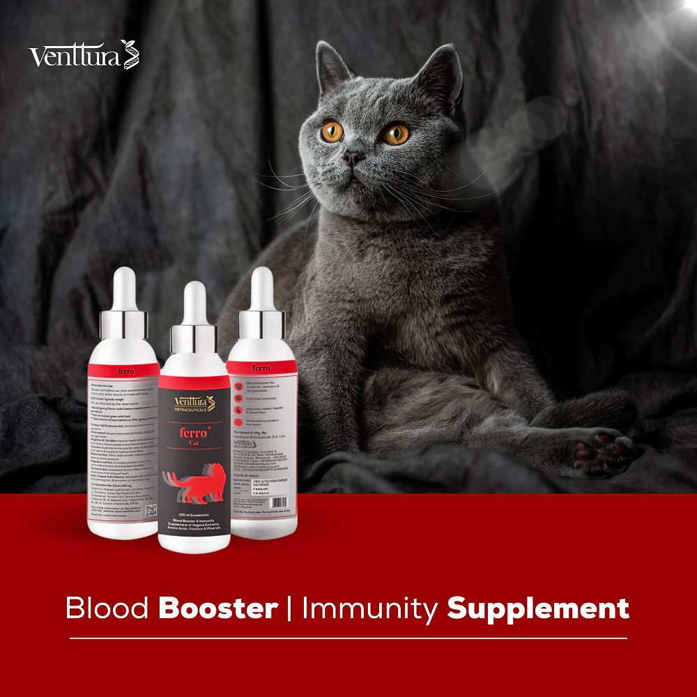 Venttura Ferro Blood Booster & Immunity Supplement for Cats image 4
