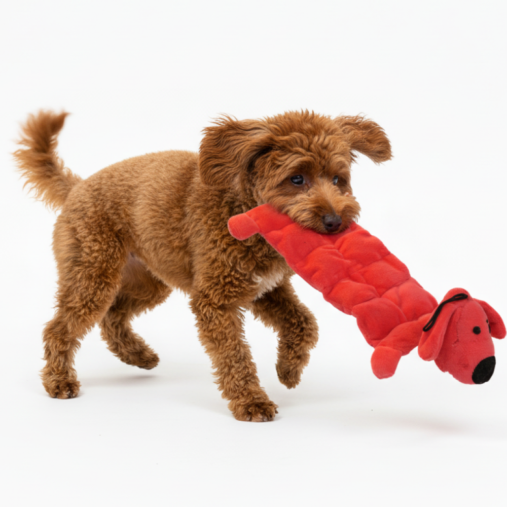 Skatrs Soft & Fun Squeaky Plush Mat Toy for Dogs image 1