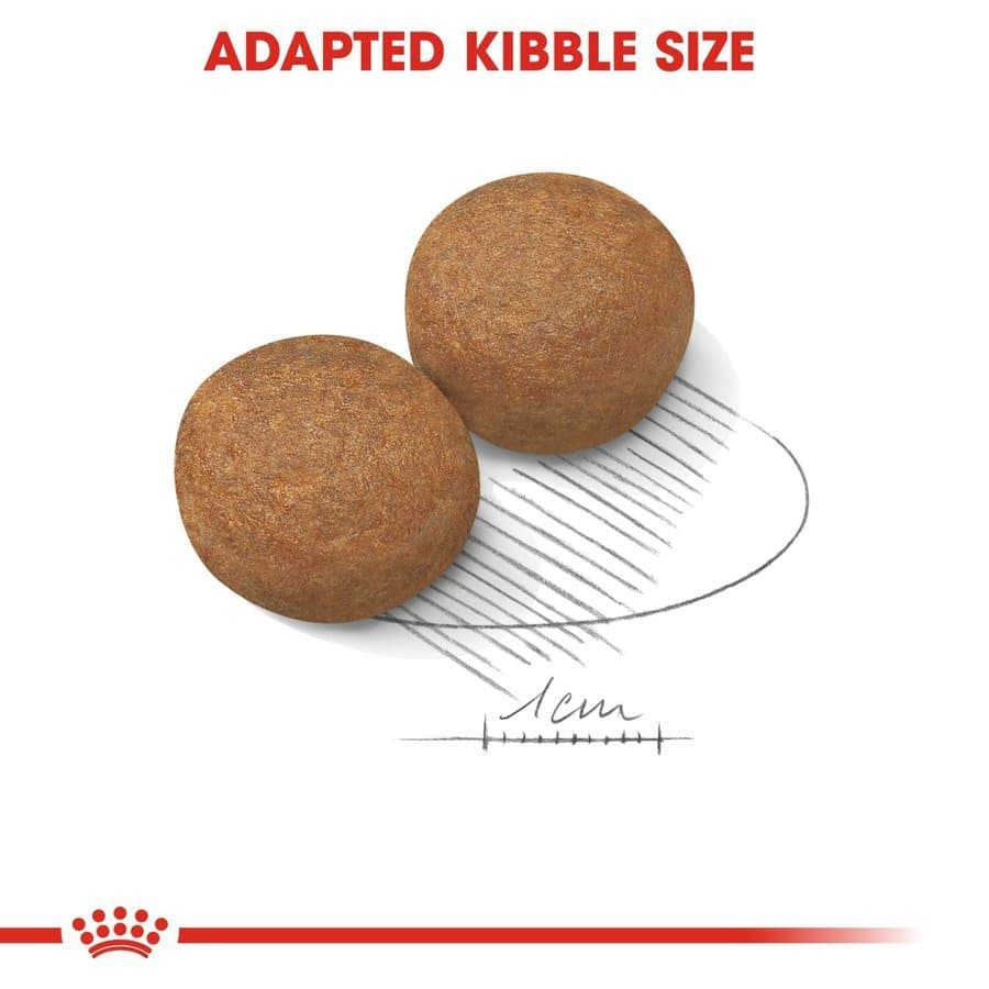 Royal Canin Maxi Adult Dog Dry and Wet Food Combo image 4