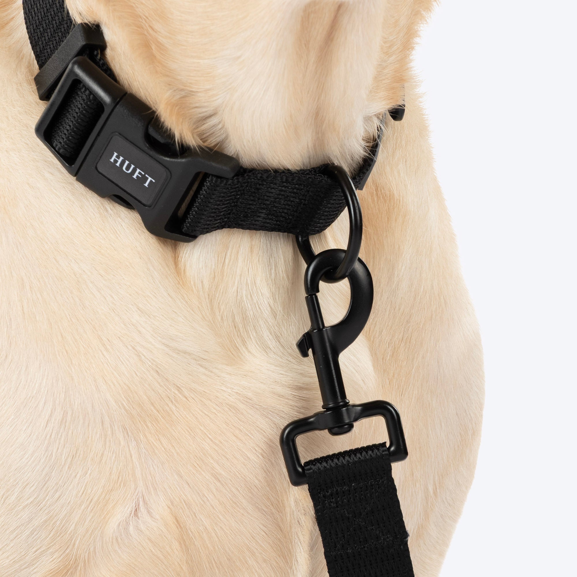 HUFT Classic Leash for Dogs (Coal Black) image 5