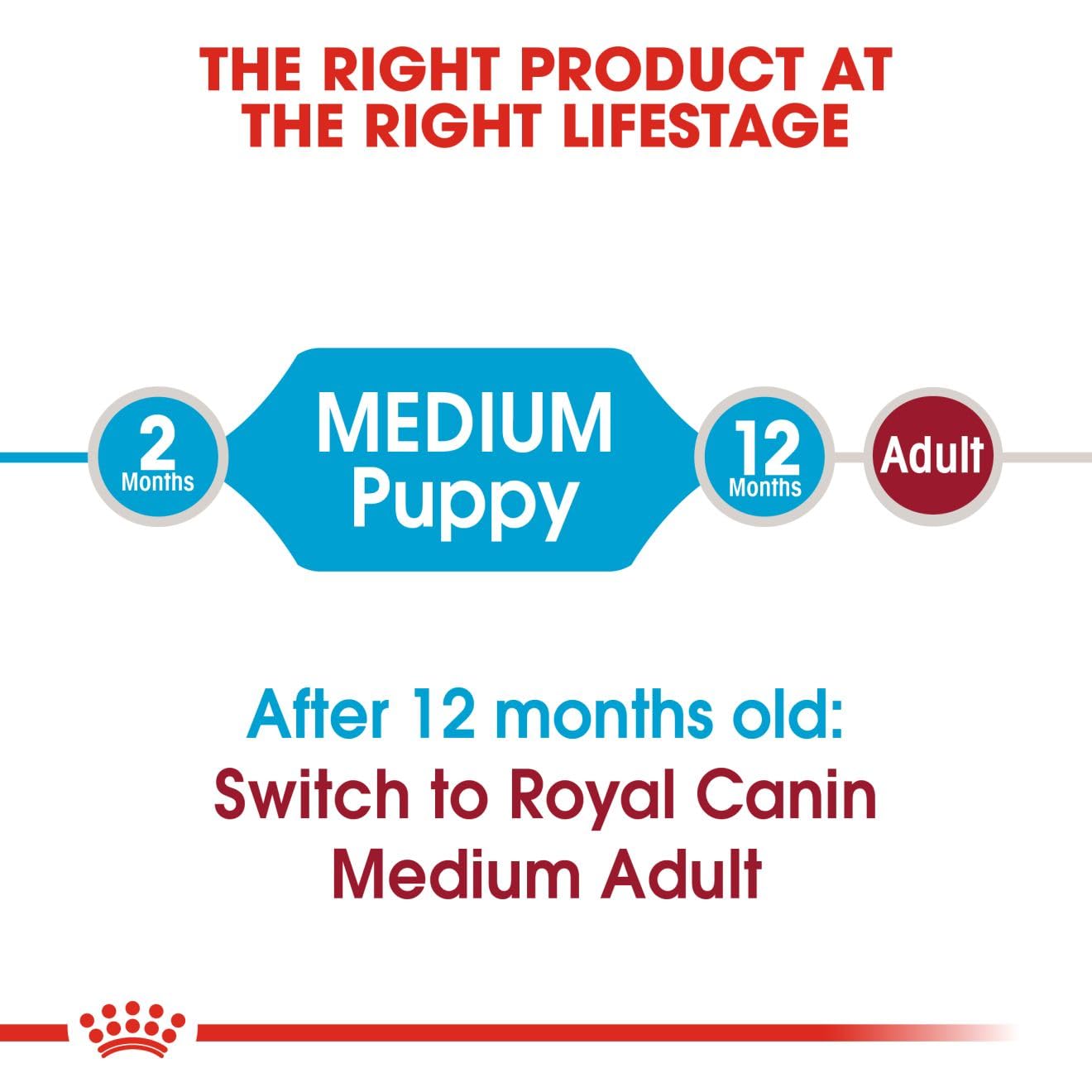 Royal Canin Medium Puppy Dog Dry Food image 5