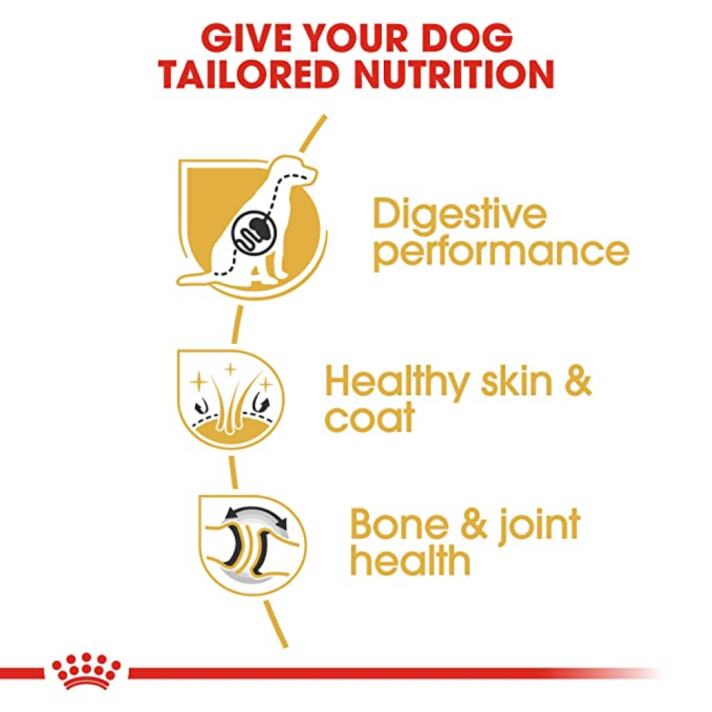 Royal Canin German Shepherd 5+ Adult Dog Dry Food image 3