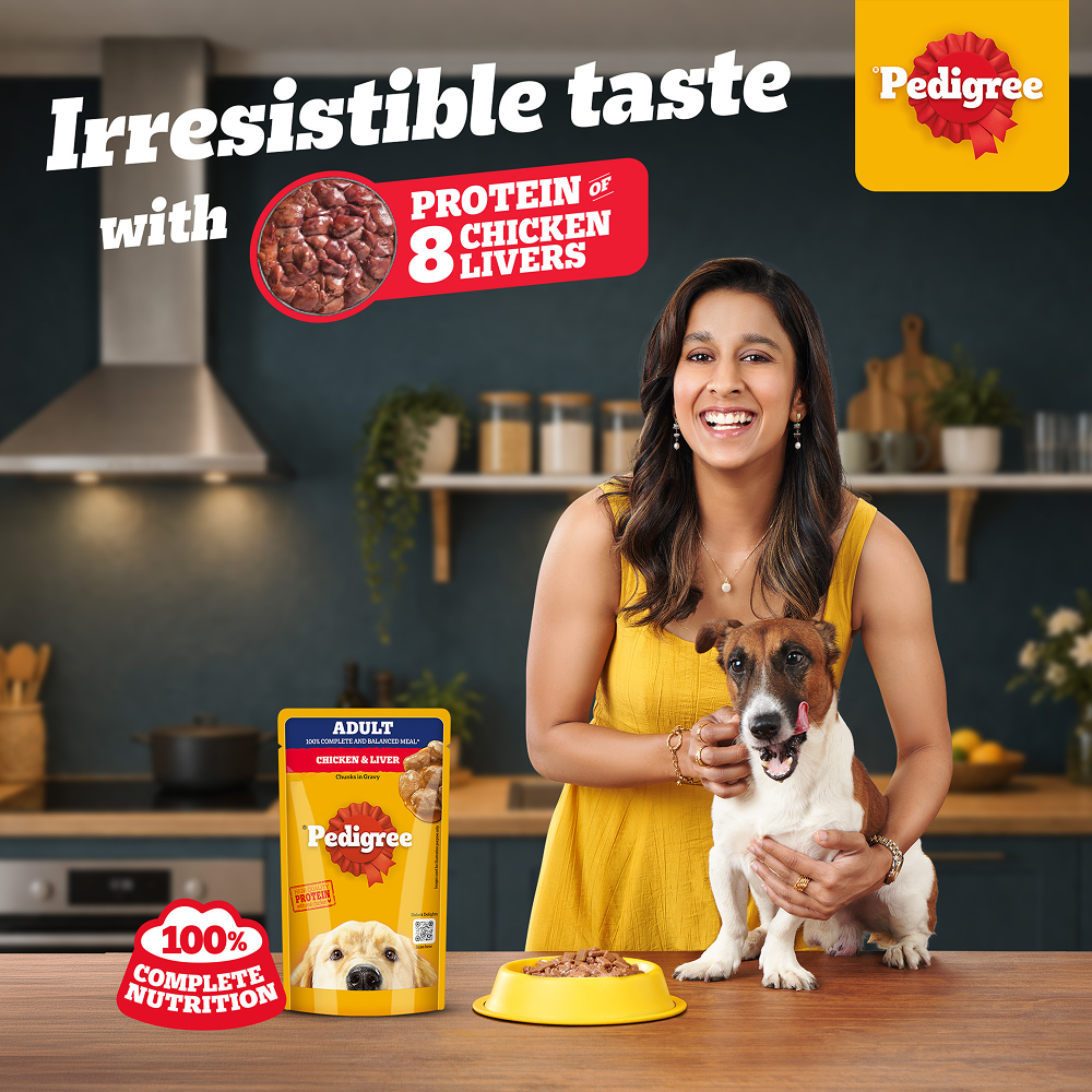 Pedigree Chicken and Liver Chunks in Gravy Adult Dog Wet Food (130g) image 6