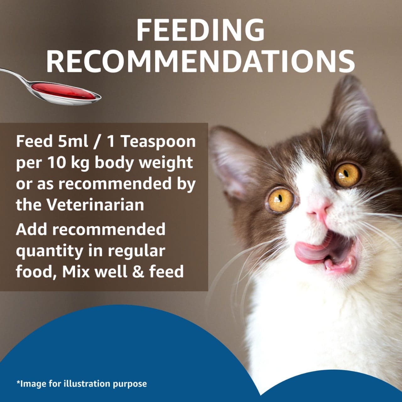 Drools Absolute Salmon Oil Syrup Supplement for Cats image 5