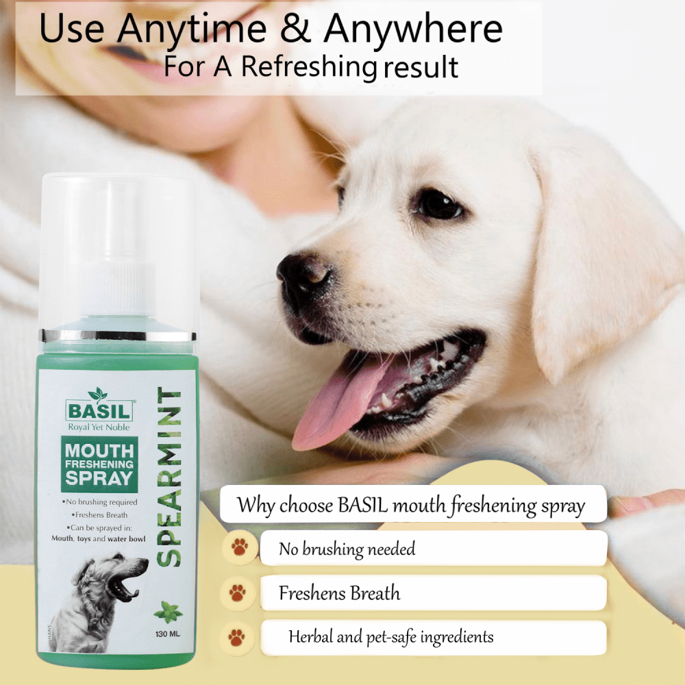Basil Spearmint Mouth Spray for Dogs image 6