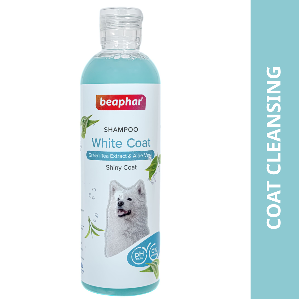 Beaphar Green Tea and Aloe Vera White Coat Shampoo for Dogs image 3