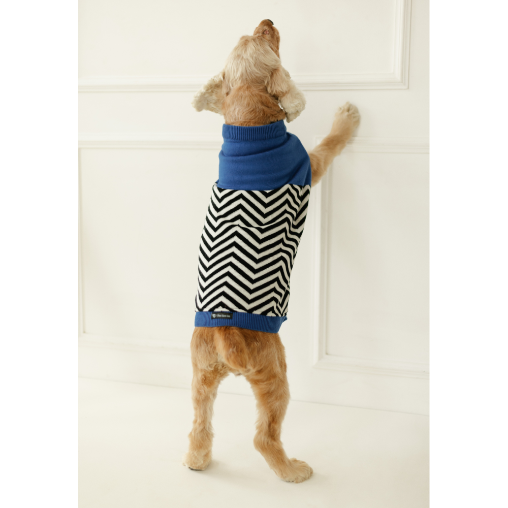 Pet Set Go Raisin’s Sweater for Dogs and Cats (Blue & Black) image 4