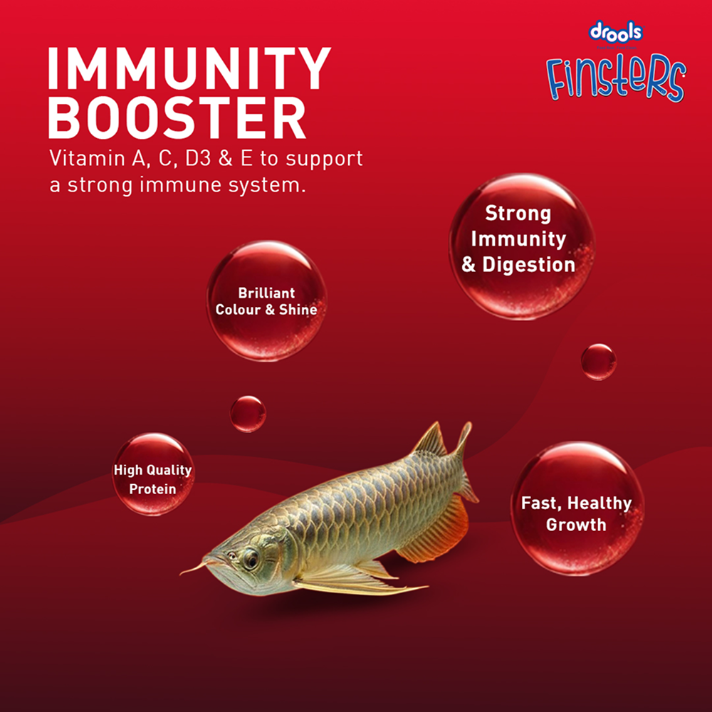 Drools Finsters Arowana Fish Food image 9