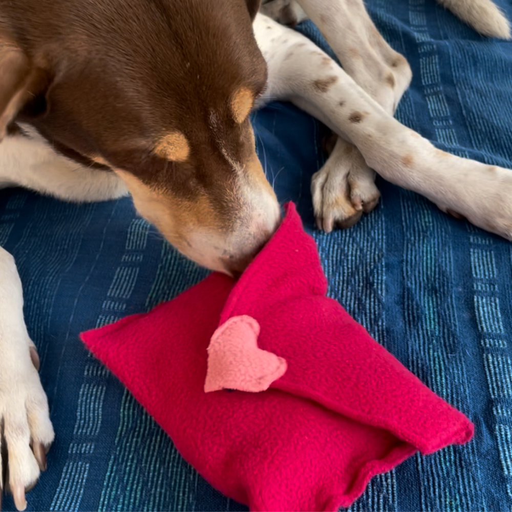 For The Love Of Dog Love Letter Toy for Dogs (Pink) image 3