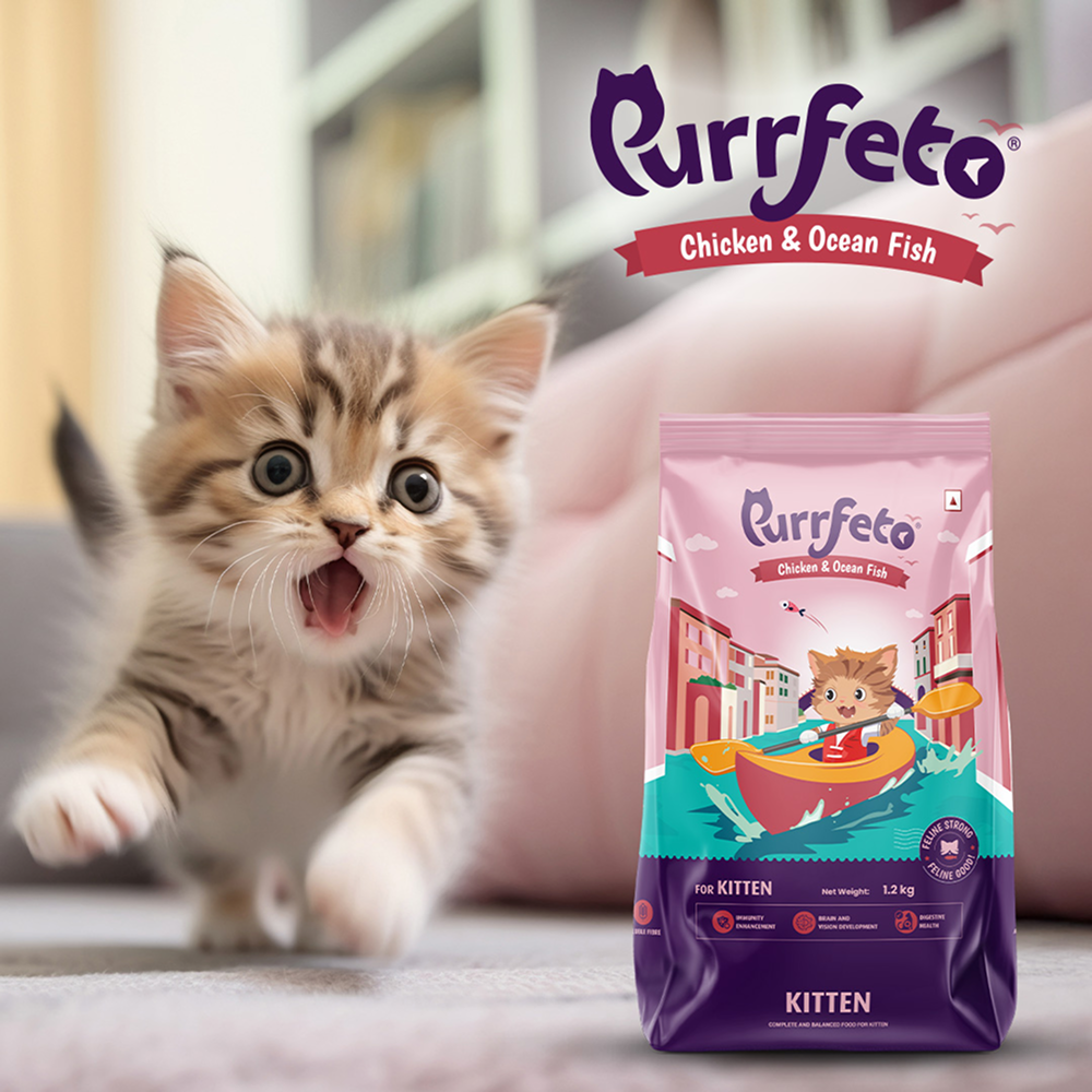 Purrfeto Chicken and Ocean Fish Kitten Cat Dry Food image 6