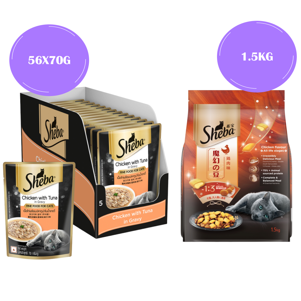 Sheba Chicken With Tuna In Gravy Premium Adult Cat Wet Food and Chicken All Life Stage Cat Dry Food Combo