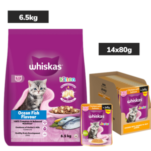 Whiskas Kitten Cat Food Combo |Ocean Fish Dry & Chicken with Salmon in Jelly in Gravy Wet