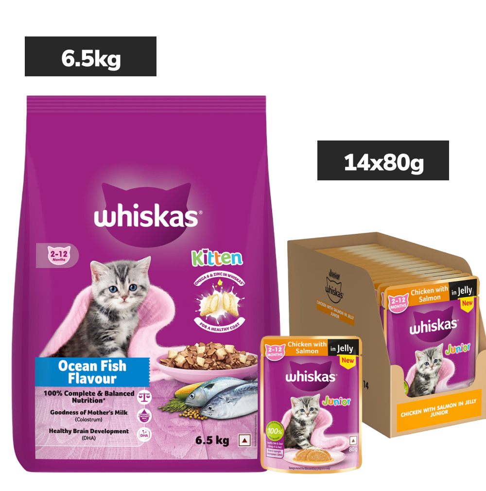 Whiskas Kitten Cat Food Combo |Ocean Fish Dry & Chicken with Salmon in Jelly in Gravy Wet image 1