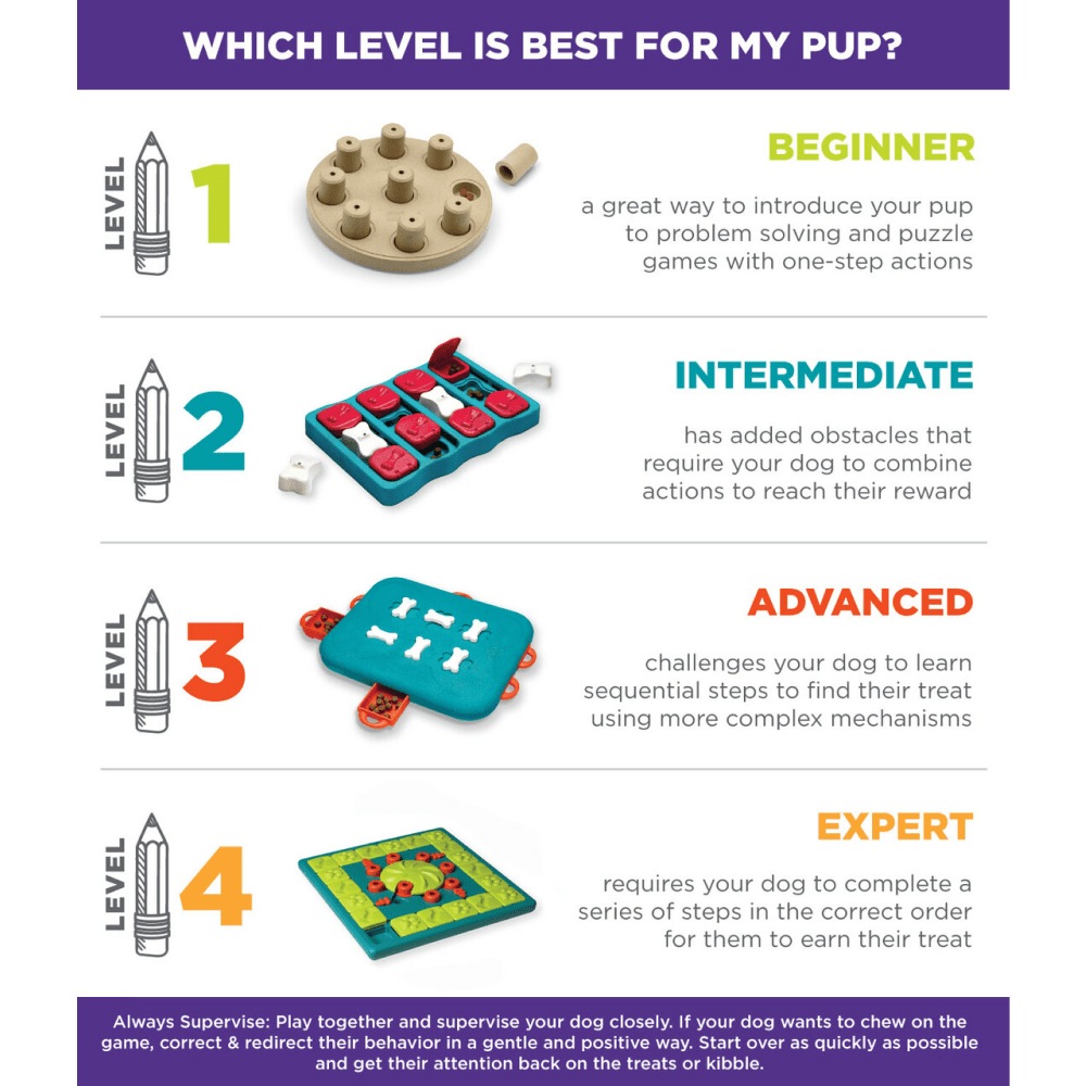 Outward Hound Nina Ottosson Dog Smart Composite Game for Dogs (Level 1 Beginner) image 9