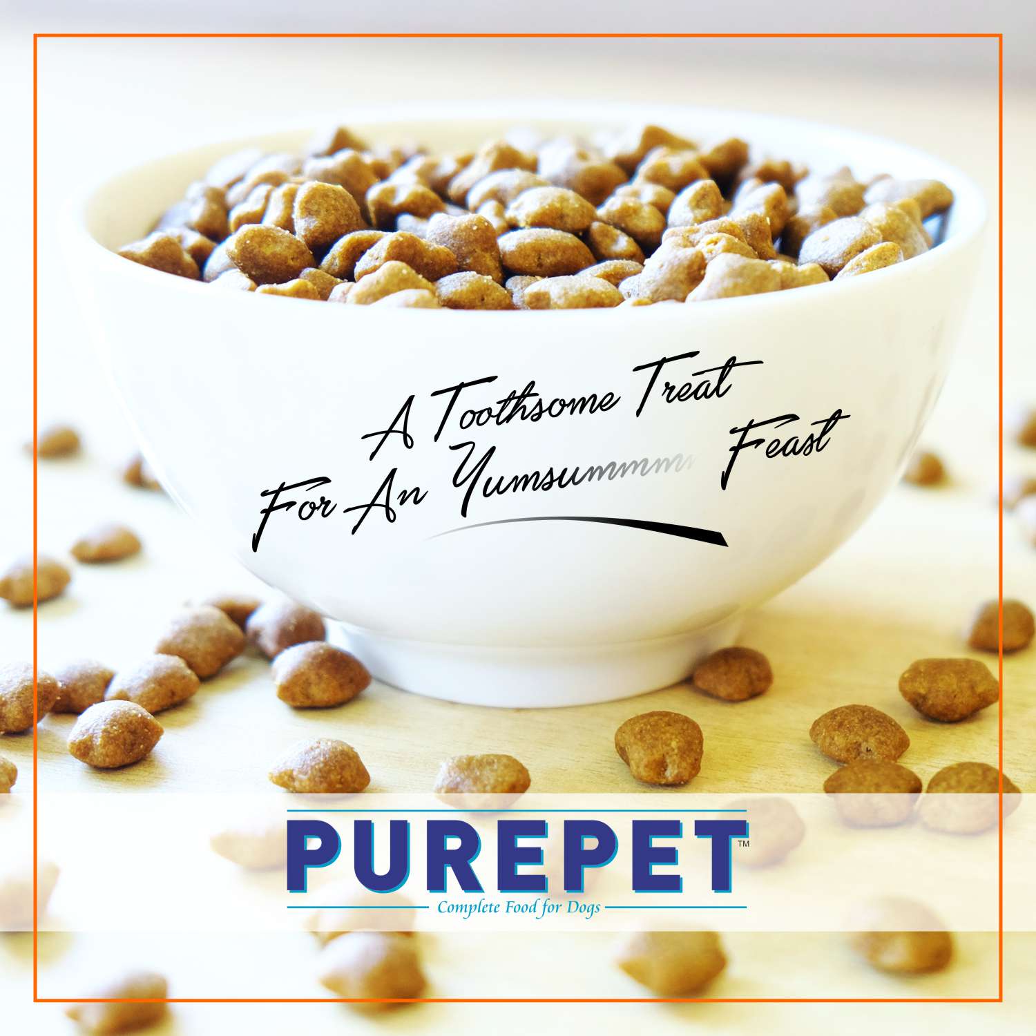 Purepet Tuna and Salmon and Mackerel Adult Dry Cat Food Combo image 8