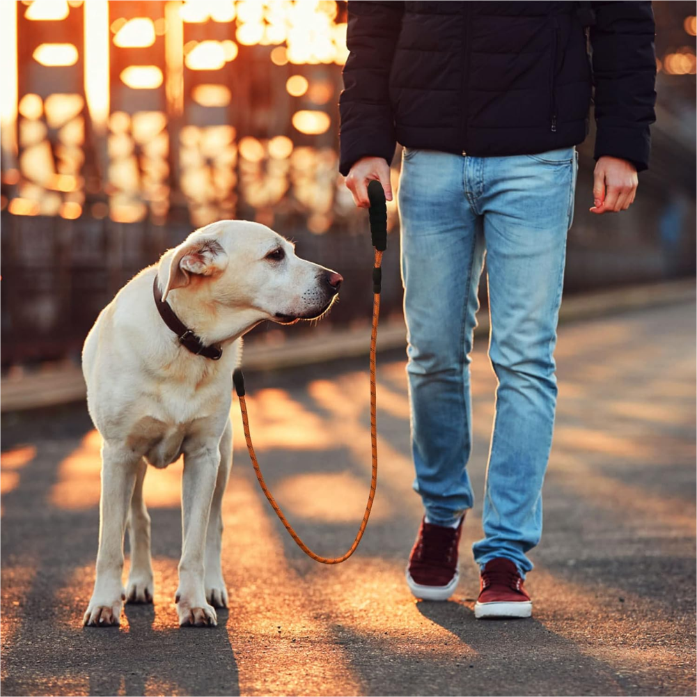 Pet Vogue Reflective Rope Leash for Dogs (Orange) image 5