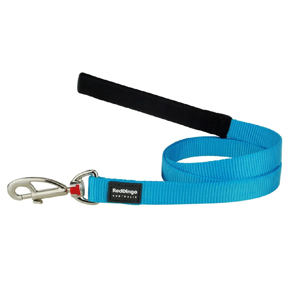 Red Dingo Classic Leash For Dogs (Turquoise) image 1