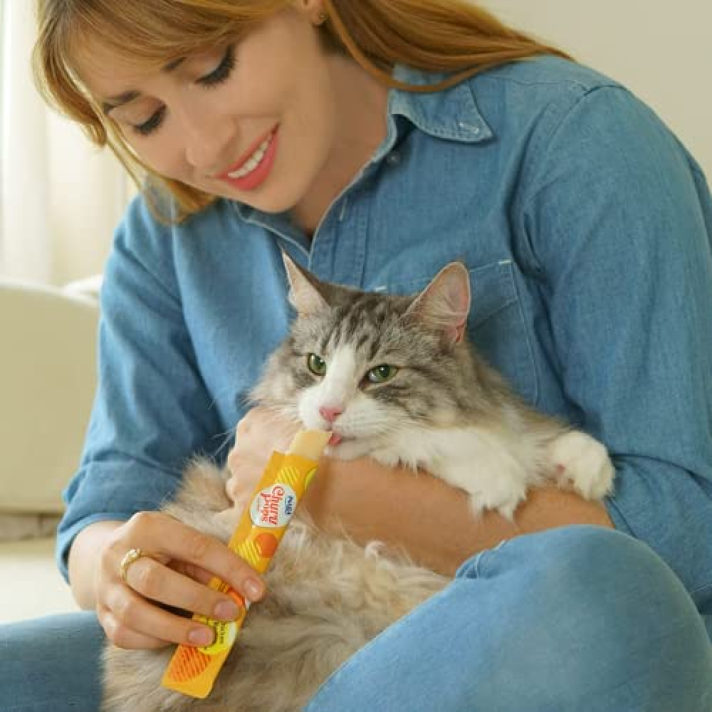 INABA Churu Pops Chicken Flavour Cat Treat image 5