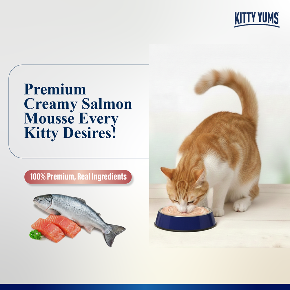 Kitty Yum Salmon Mousse Adult Cat Wet Food image 2