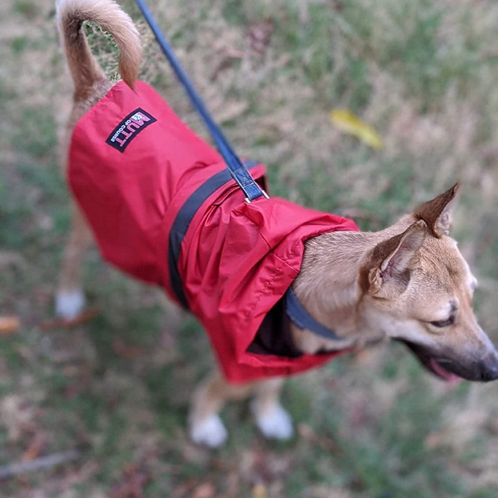 Mutt of Course Raincoat For Dogs (Red) image 6