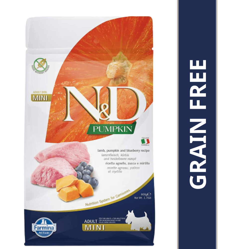 Taste of the Wild Sierra Mountain Roasted Lamb Dry Food, Farmina ND Pumpkin Lamb Blueberry Mini Adult Dog Dry Food Combo image 7