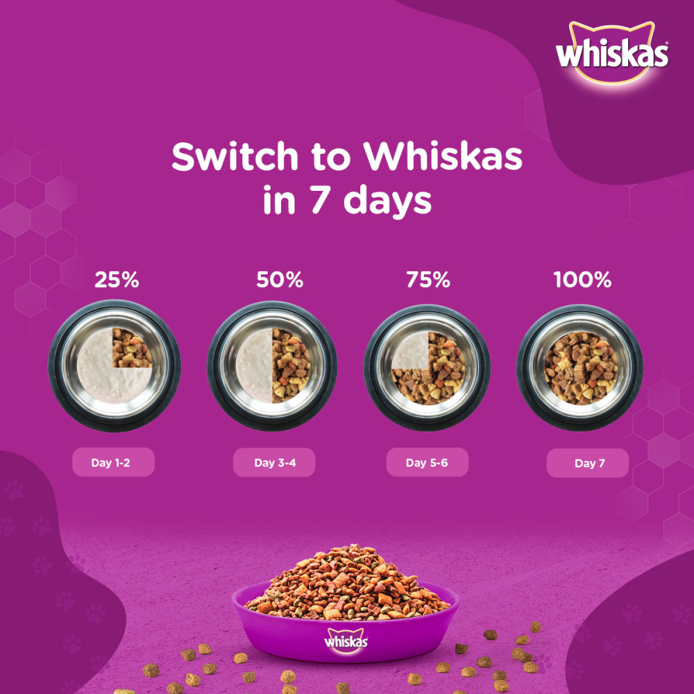 Whiskas Ocean Fish and Tuna in Jelly Kitten Dry and Wet Food Combo image 9