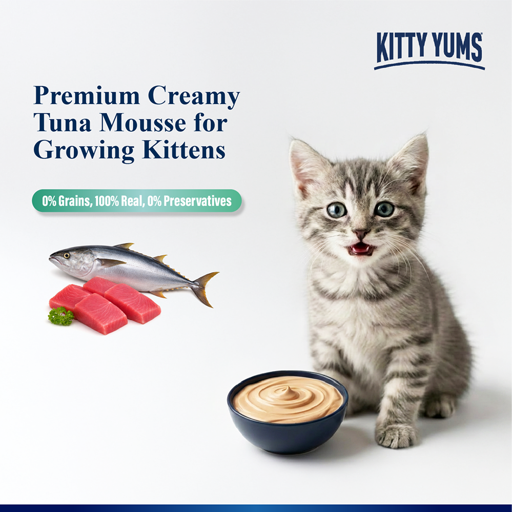 Kitty Yum Tuna Mousse Kitten Cat Wet Food image 4