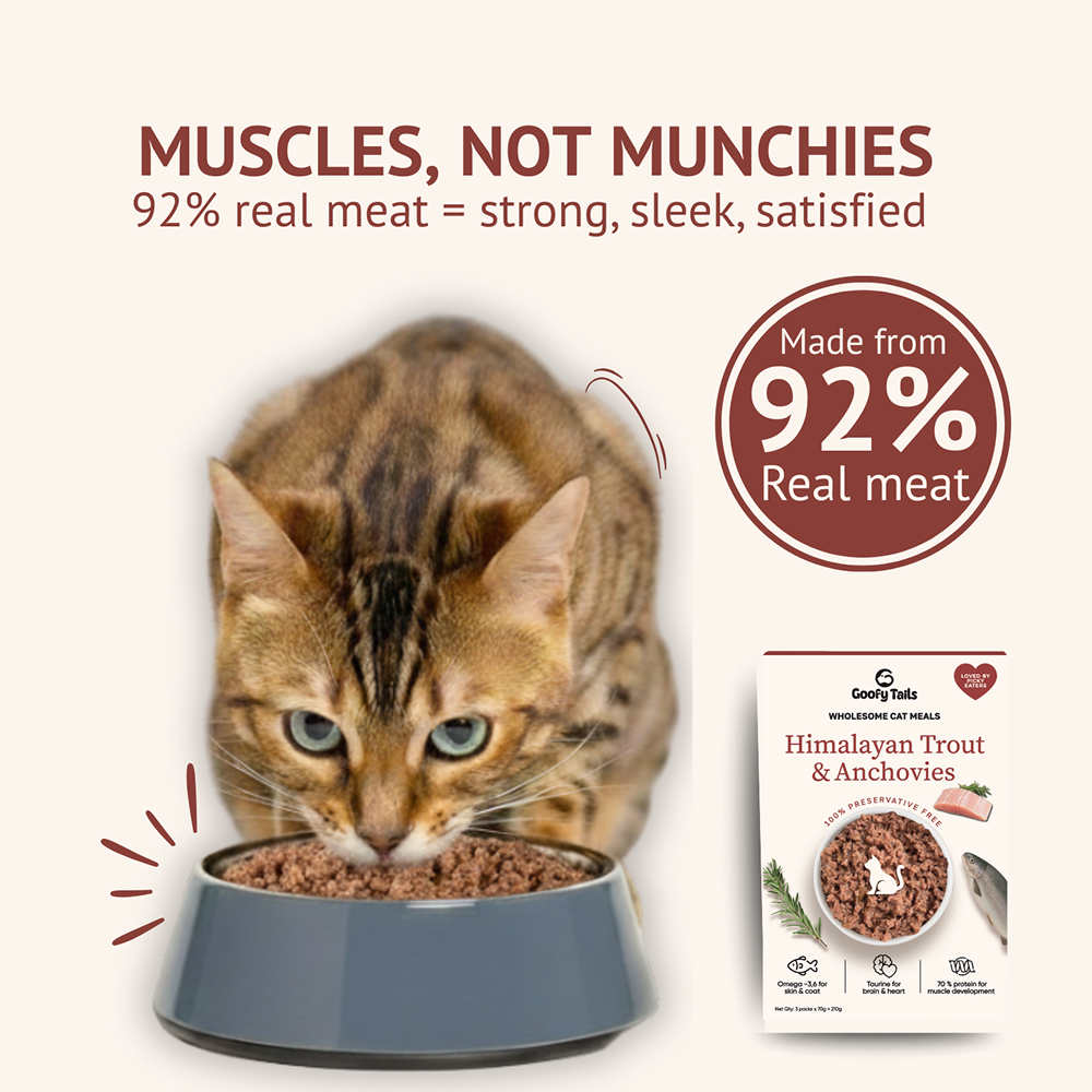 Goofy Tails Mackerel & Chicken  and Himalayan Trout & Anchovies Cat Meals Combo 40g x 4 image 2