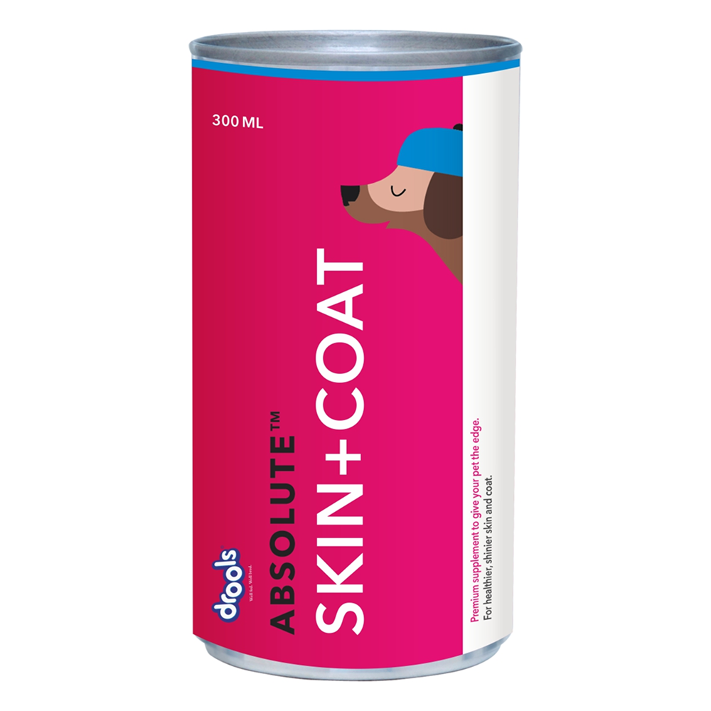 Drools Absolute Skin & Coat Syrup Supplement for Dogs image 8