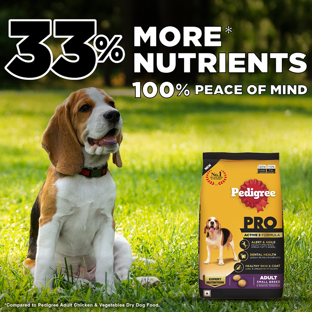 Pedigree PRO Expert Nutrition Adult Dog Dry Food for Small Breed image 3