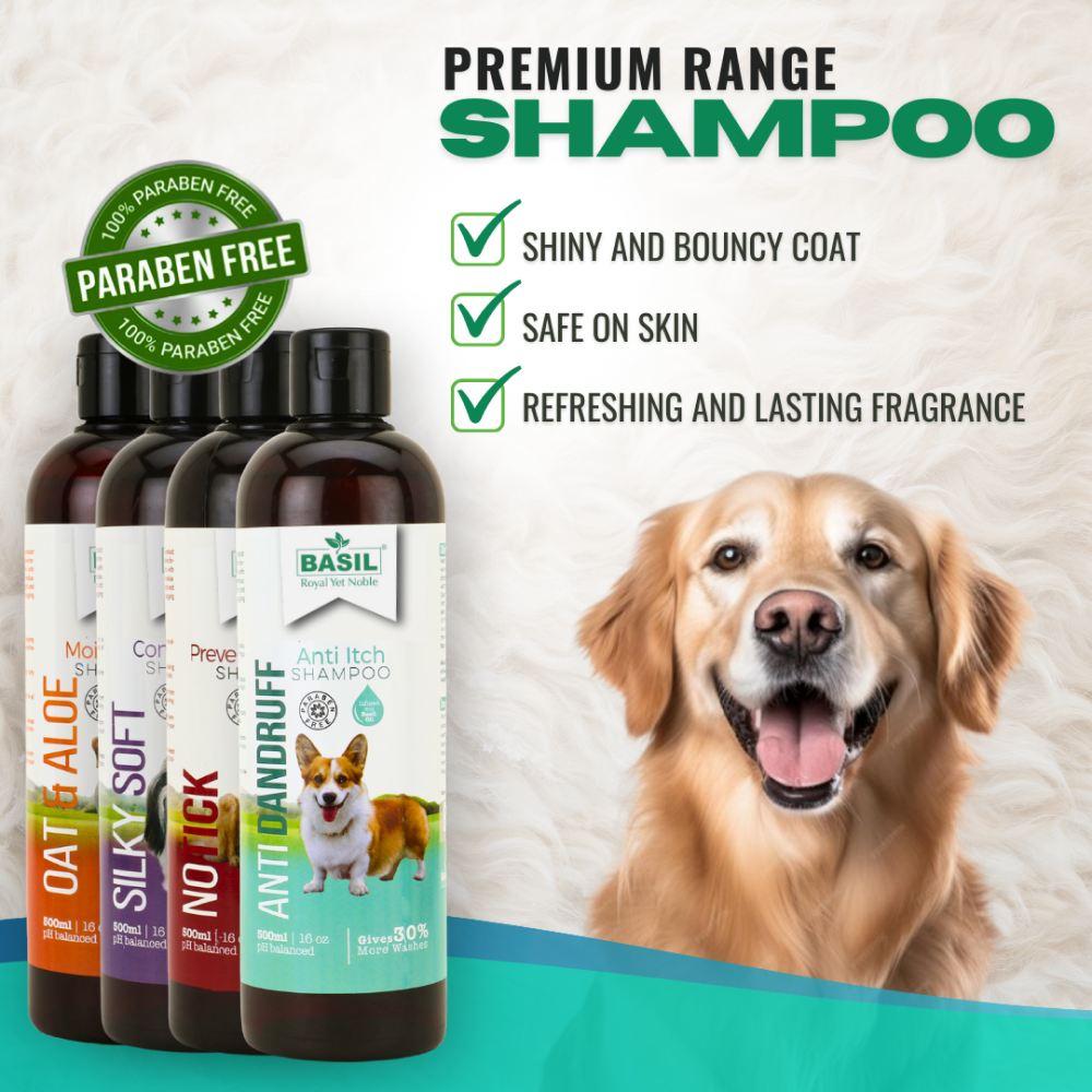 Basil Anti Dandruff & Anti Itch Shampoo for Dogs and Cats image 4