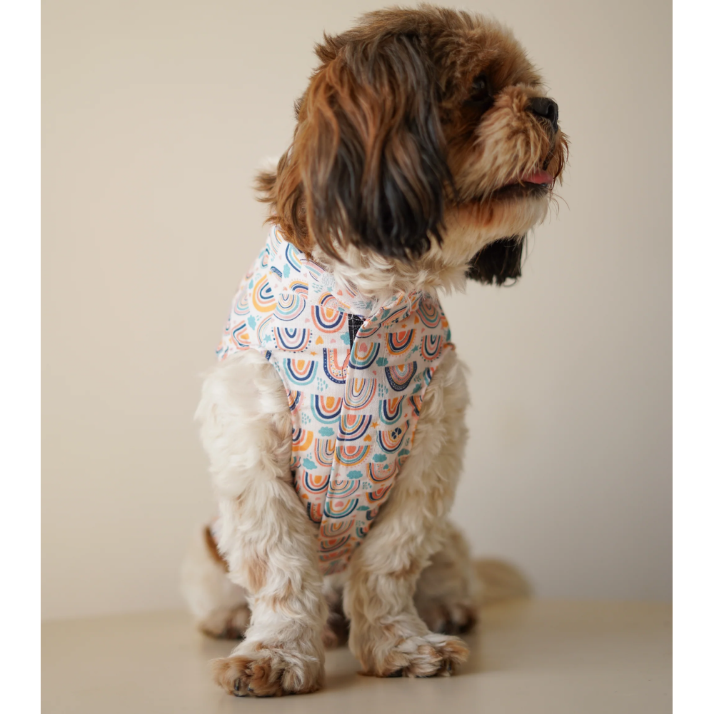 Pawgypets Rainbow Sando for Dogs (off white) image 2