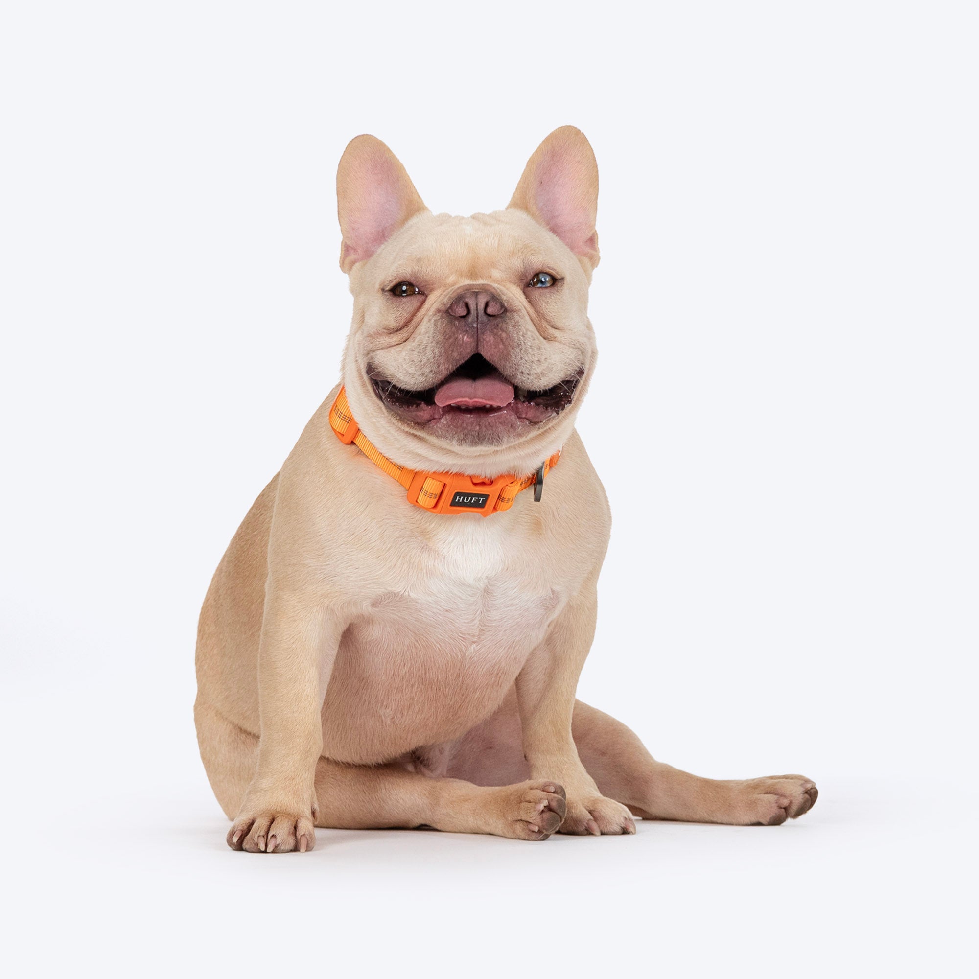 HUFT Xplorers Collar for Dogs (Orange) image 5