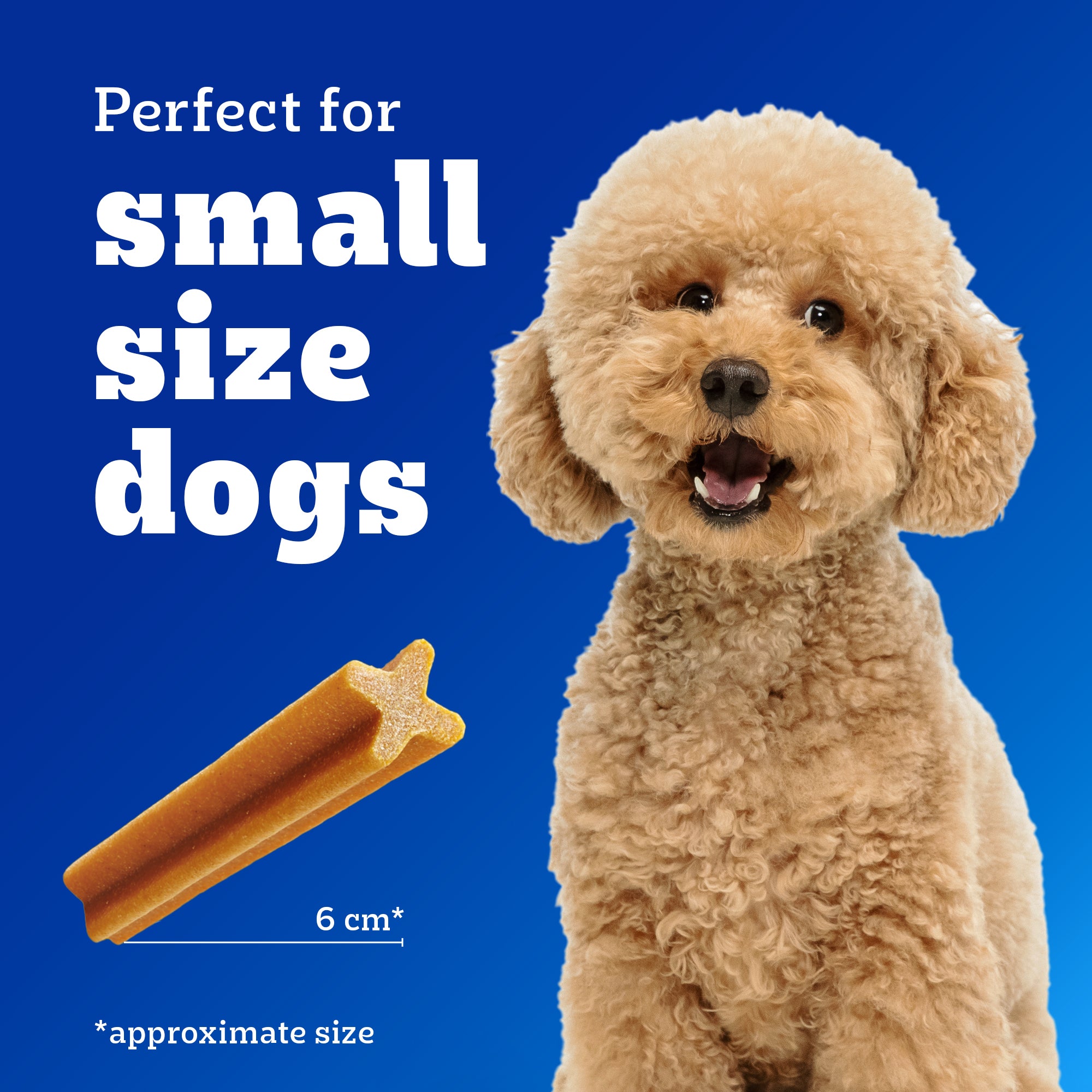 Pedigree Dentastix Oral Care for Adult (Small Breed of 5 to 10 kg) Dog Treats image 3