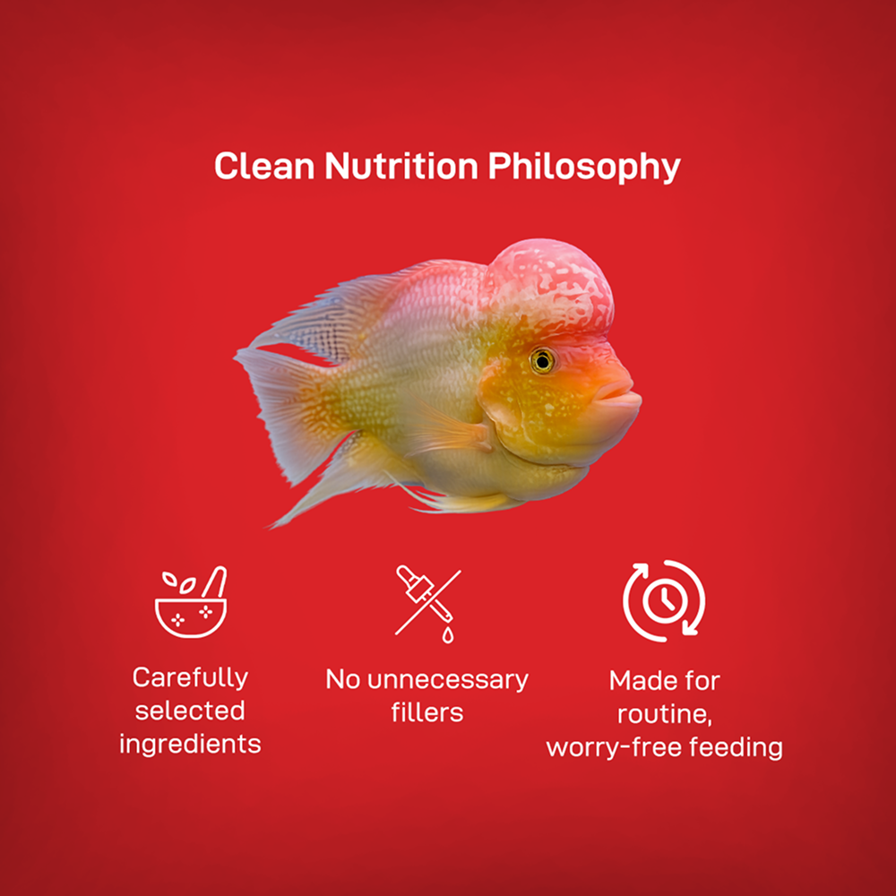 Drools Finsters Flower Horn Monster Hump Fish Food image 9