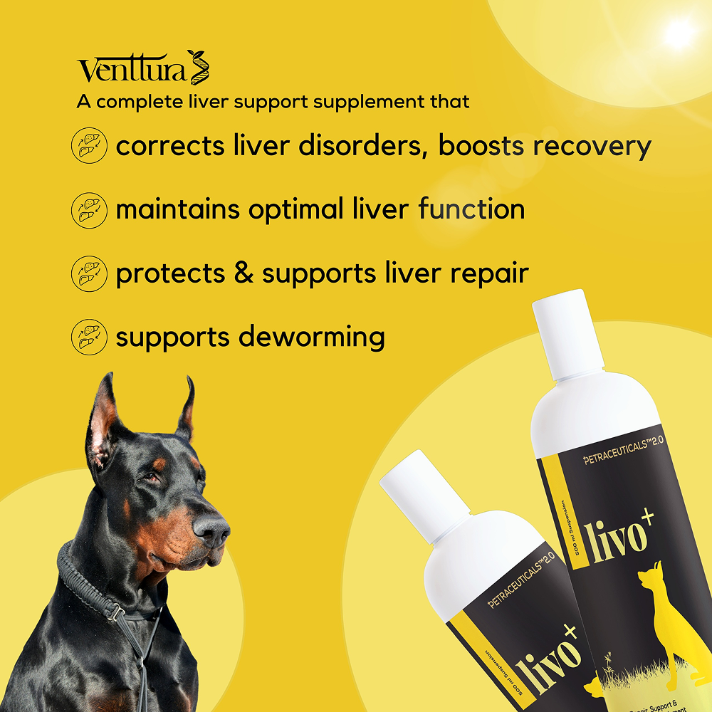 Venttura Livo Plus Liver Supplement Syrup for Dogs image 6