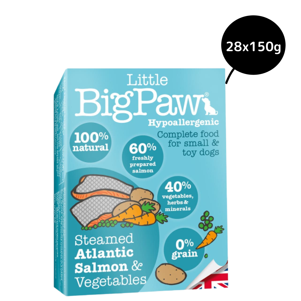Little Big Paw Atlantic Salmon & Vegetables Terrine Dog Wet Food image 3
