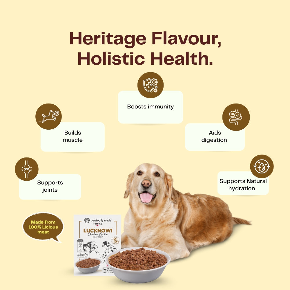 Pawfectly Made By Licious Lucknowi Chicken Keema Gravy Adult Dog Wet Food image 3